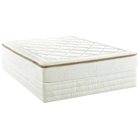 Queen 10 Inch Memory Foam Mattress and Foundation